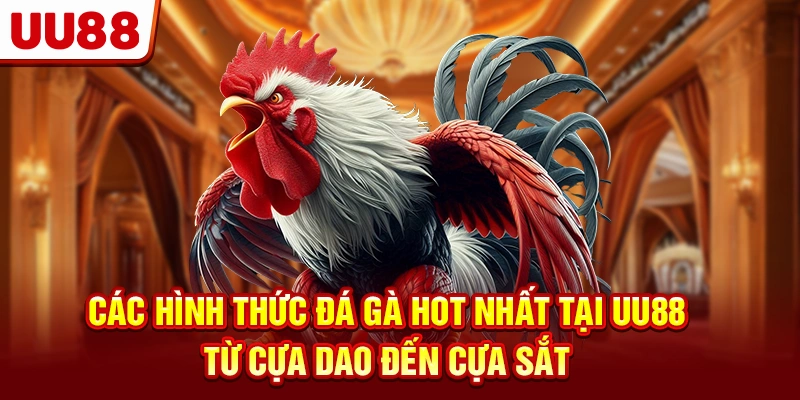 Các hình thức đá gà hot nhất tại UU88
